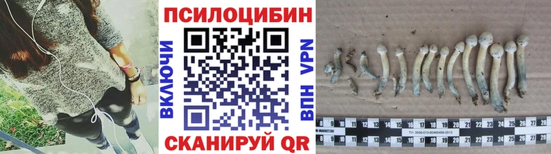 Галлюциногенные грибы мицелий  Троицк 