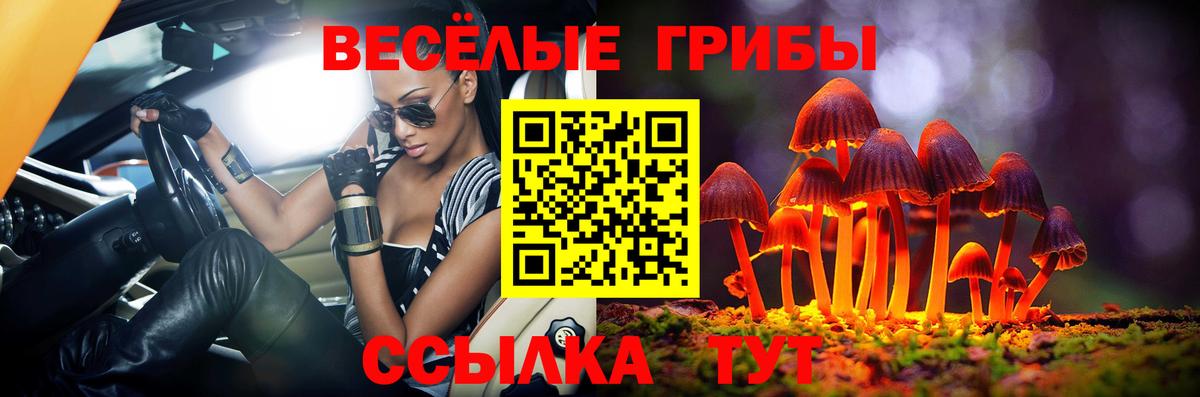 Псилоцибиновые грибы GOLDEN TEACHER  Вход с VPN  Троицк 