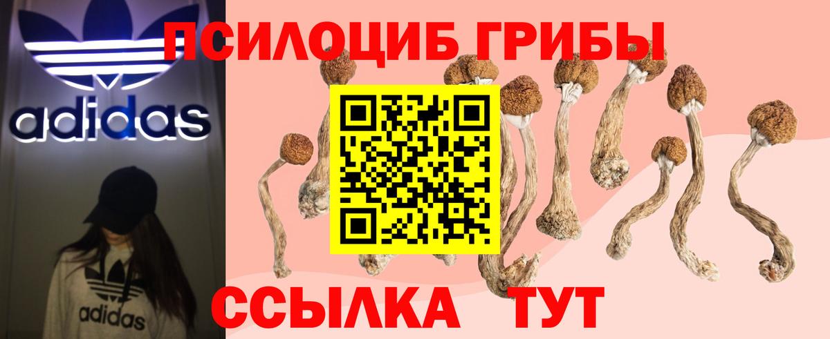 Галлюциногенные грибы прущие грибы Троицк